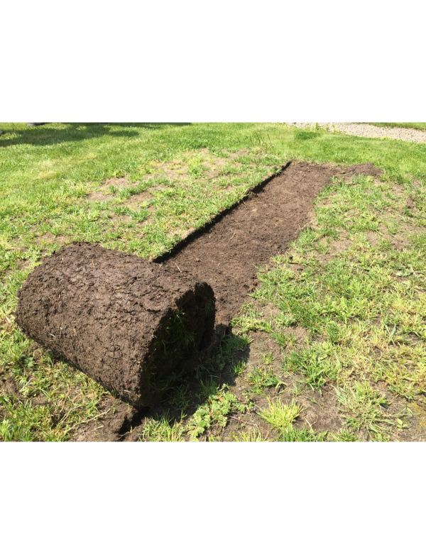 WYCINARKA DARNI TRAWY BENASSI L300