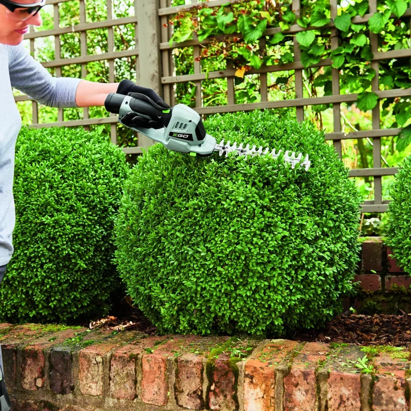 NOŻYCE DO ŻYWOPŁOTU I TRAWY 12V EGO CHT2001E