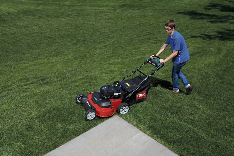 KOSIARKA SPALINOWA TORO TIMEMASTER™ 20976/21810