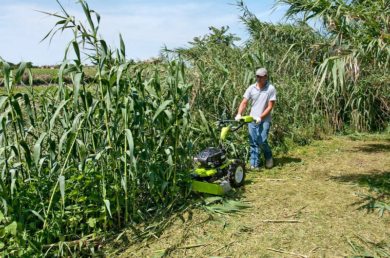 KARCZOWNICA GRILLO CL 62M