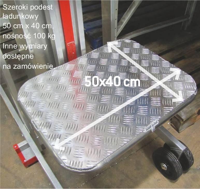 DRABINA MAGAZYNOWA FARAONE 10 STOPNIOWA PIK25 4,23M