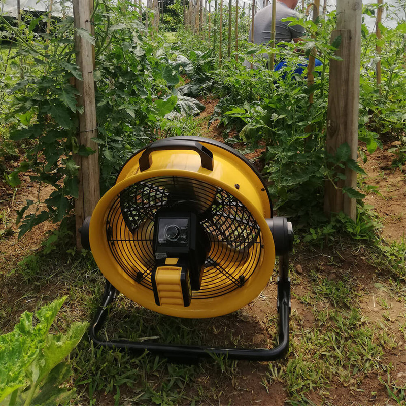 PROFESJONALNY WENTYLATOR MASTER DFB 16